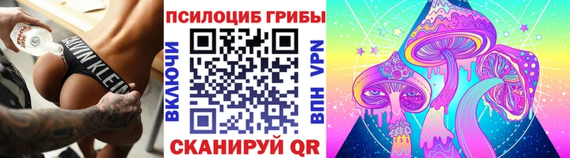 Псилоцибиновые грибы Psilocybe  Усть-Катав 
