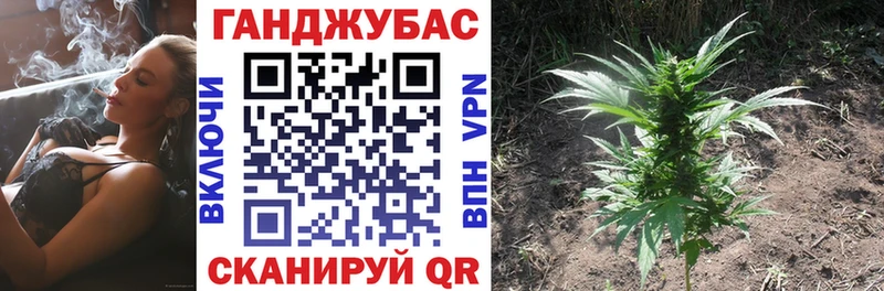 где купить наркотик  Усть-Катав  гидра ссылка  Конопля AK-47 